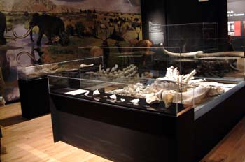 Museo Arqueológico, Alcalá de Henares, Comunidad de Madrid