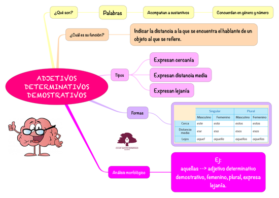 LENGUA_DEMOSTRATIVOS_4