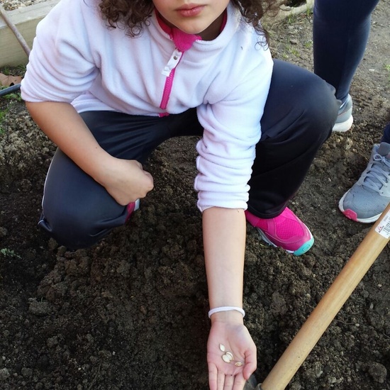 TRABAJANDO EN EL HUERTO 1