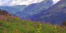 Parque Natural del Vall de Sorteny, Principado de Andorra