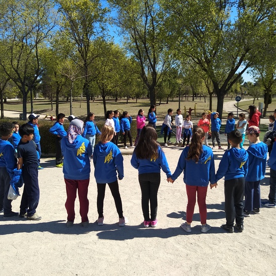 Arqueopinto 4º 19 22