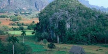 Paisaje rural cubano