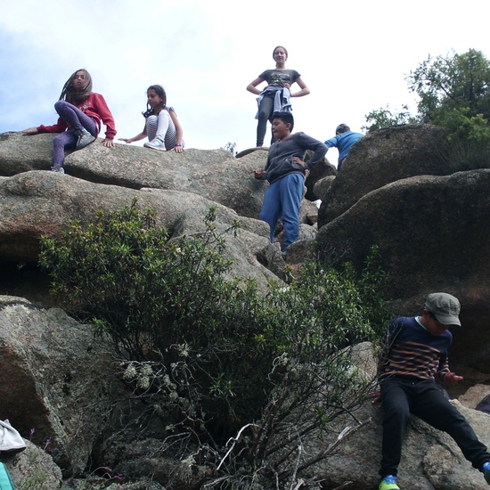 NIÑAS/OS DE 5º NATURALEZA VIVA EN LA PEDRIZA. HOSTOS POR EL PLANETA 16