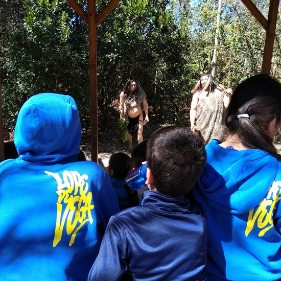 Arqueopinto 4º 19 20