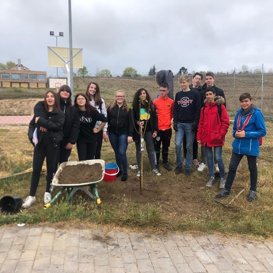 Visita holandeses extra 9