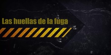 Proyecto: Las huellas de la fuga
