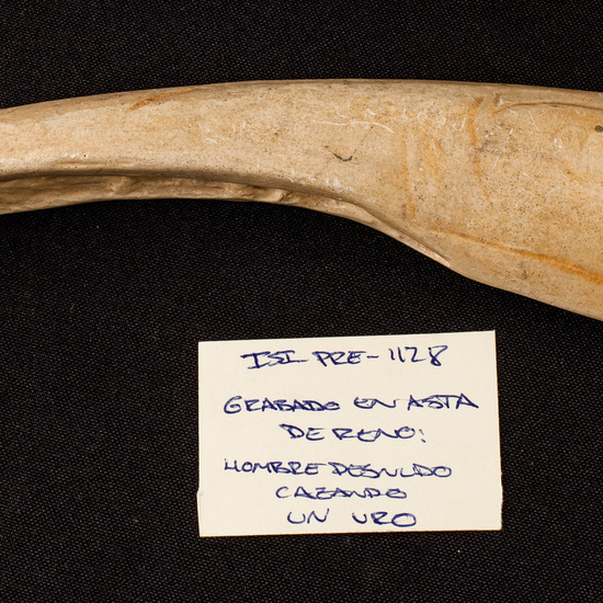 IES_SANISIDRO_MUSEO_Paleologia_025