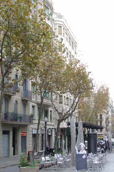 Avenida Gaudí, Barcelona