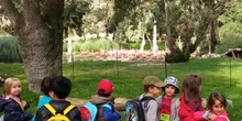 VISITAMOS EL ZOO. Educación Infantil 5 años
