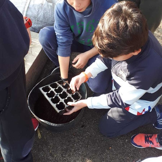 2020_02_13_4º planta en el huerto_CEIP FDLR_Las Rozas 4