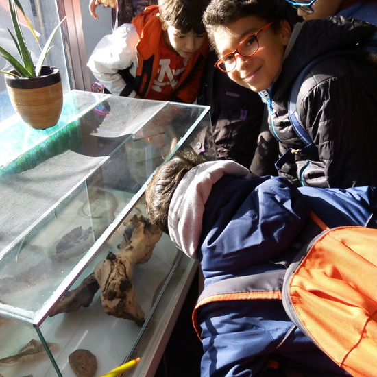 VISITA A GREFA. 5º CURSO 24