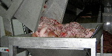 Máquina de procesado de carnes