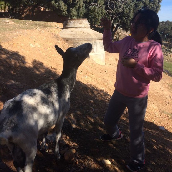 Mohernando 2017_3 34