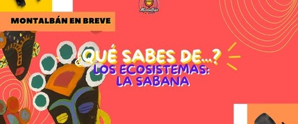 ¿Qué sabes de...? Los ecosistemas