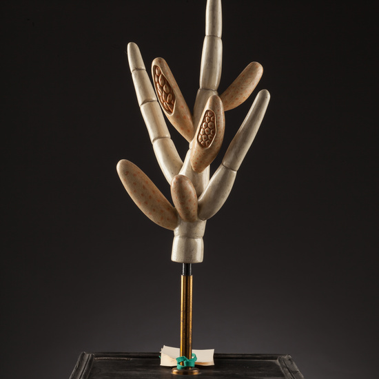 IES_SANISIDRO_BIOLOGIA_161