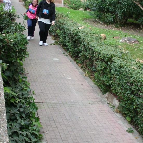 EL HOSTOS CORRE CONTRA EL CÁNCER 13