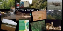 MONTES VASCOS - VITORIA 2018