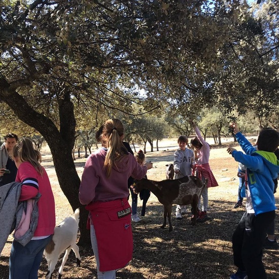 Mohernando 2017_4 45