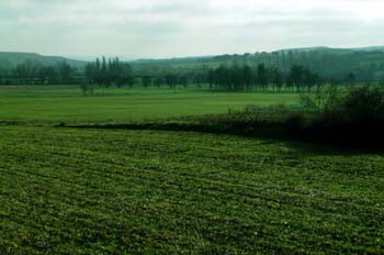 Tierra sembrada, Torrelaguna, Madrid