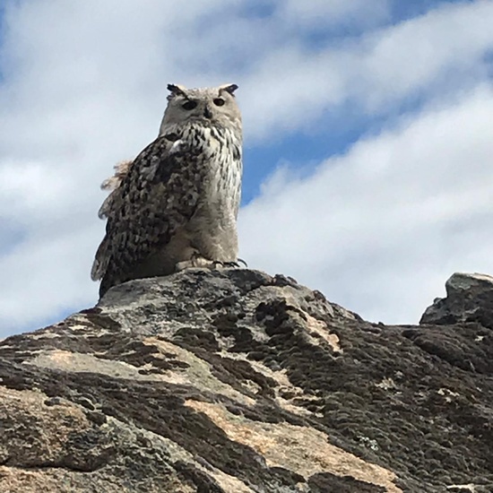 Sendero Vivo 2019 11