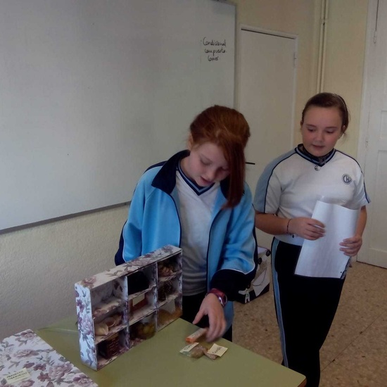 Exposiciones 5º B EP 31