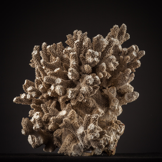 IES_SANISIDRO_BIOLOGIA_429