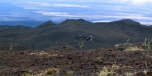 Campos de lava alrededor del Volcán Sierra negra en Isla Isabela