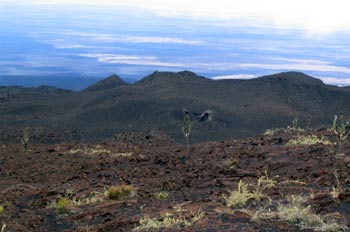 Campos de lava alrededor del Volcán Sierra negra en Isla Isabela
