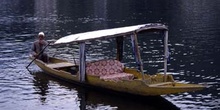 Barco-taxi en el lago Dal de Srinagar, Jammu y Cachemira, India