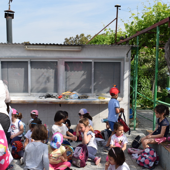 Siembra Huerta Balta 5 años 2018 12