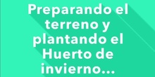 Preparamos el terreno y plantamos el Huerto de Invierno