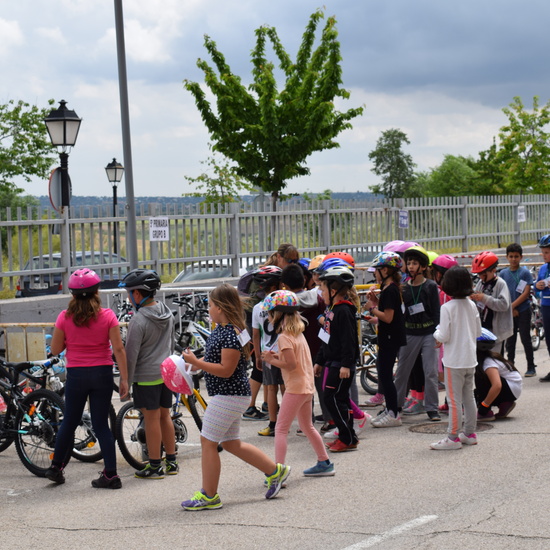 Educación Vial 3º primaria 8