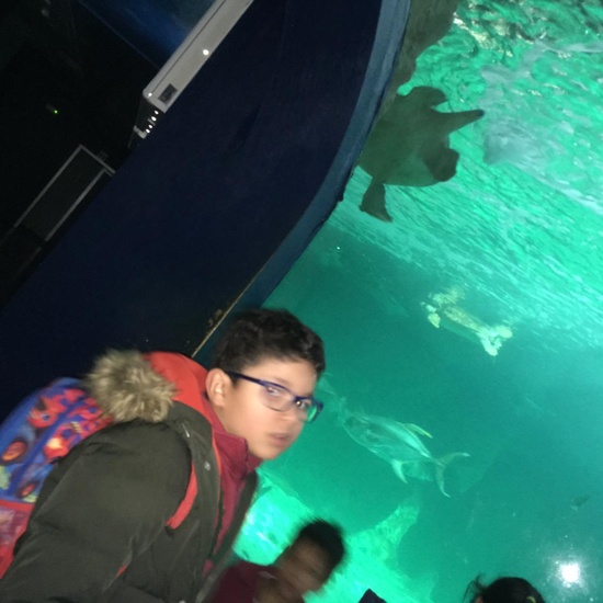 Excursión al zoo 5 años, 1º y 2º Luis Bello 30