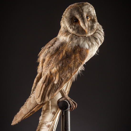 IES_SANISIDRO_BIOLOGIA_404