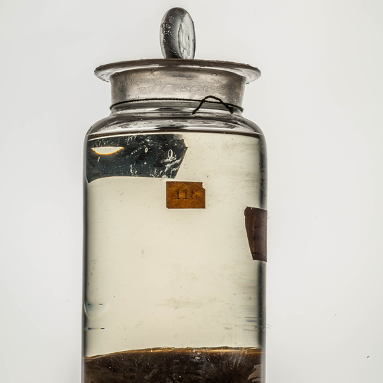 IES_CARDENALCISNEROS_CIENCIASNATURALES_099