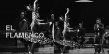 Video generalidades del Flamenco