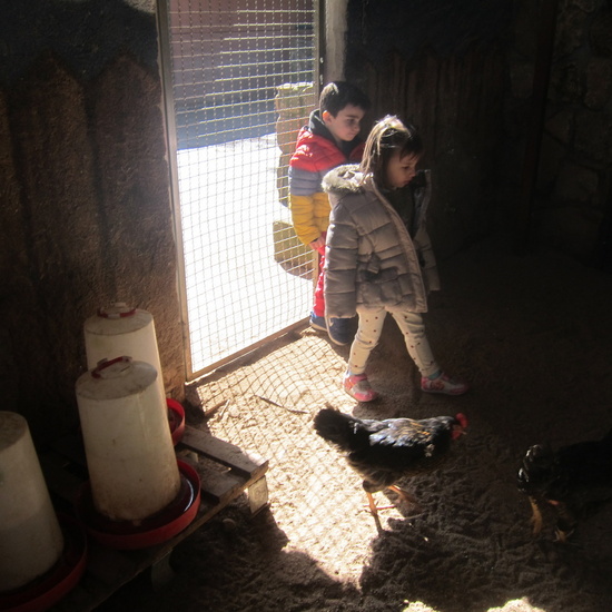Granja Escuela Educación Infantil Curso 2017-18 44