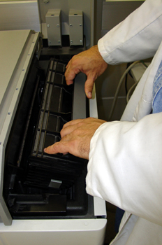 Obtener la película