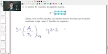 Matrices y Determinantes - Examen A Ejercicio 6