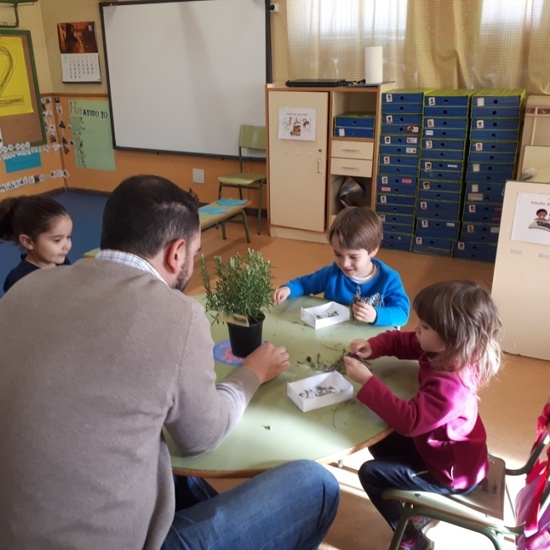 TALLER DE PLANTAS - 3 AÑOS INFANTIL 8
