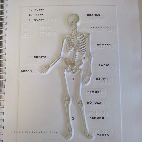 OTRA FORMA DE VER EL MUNDO 49