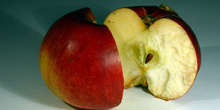 Manzana