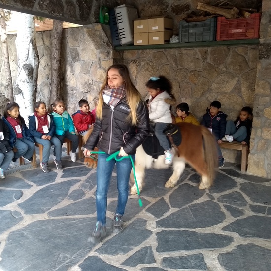 Granja de los Cuentos Infantiles II 15