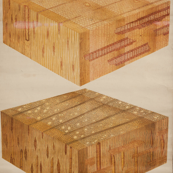 IES_SANISIDRO_LAMINAS_026