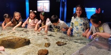 FOTOS AQUARIUM 5 21