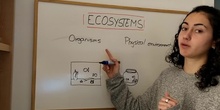 ECOSYSTEMS FULL UNIT 4