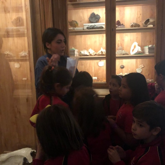 MUSEO DE AMÉRICA, FEBRERO 2019 1