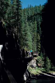 Paseo por las Montañas Rocosas (Canadá)
