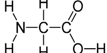 Glicina