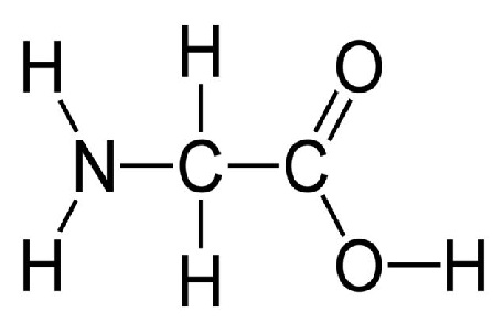 Glicina